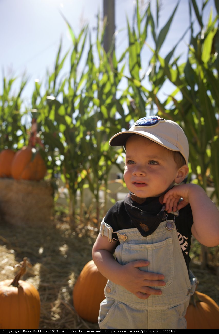 Harvest Time Memories: Wesley's Pumpkin Patch Adventure