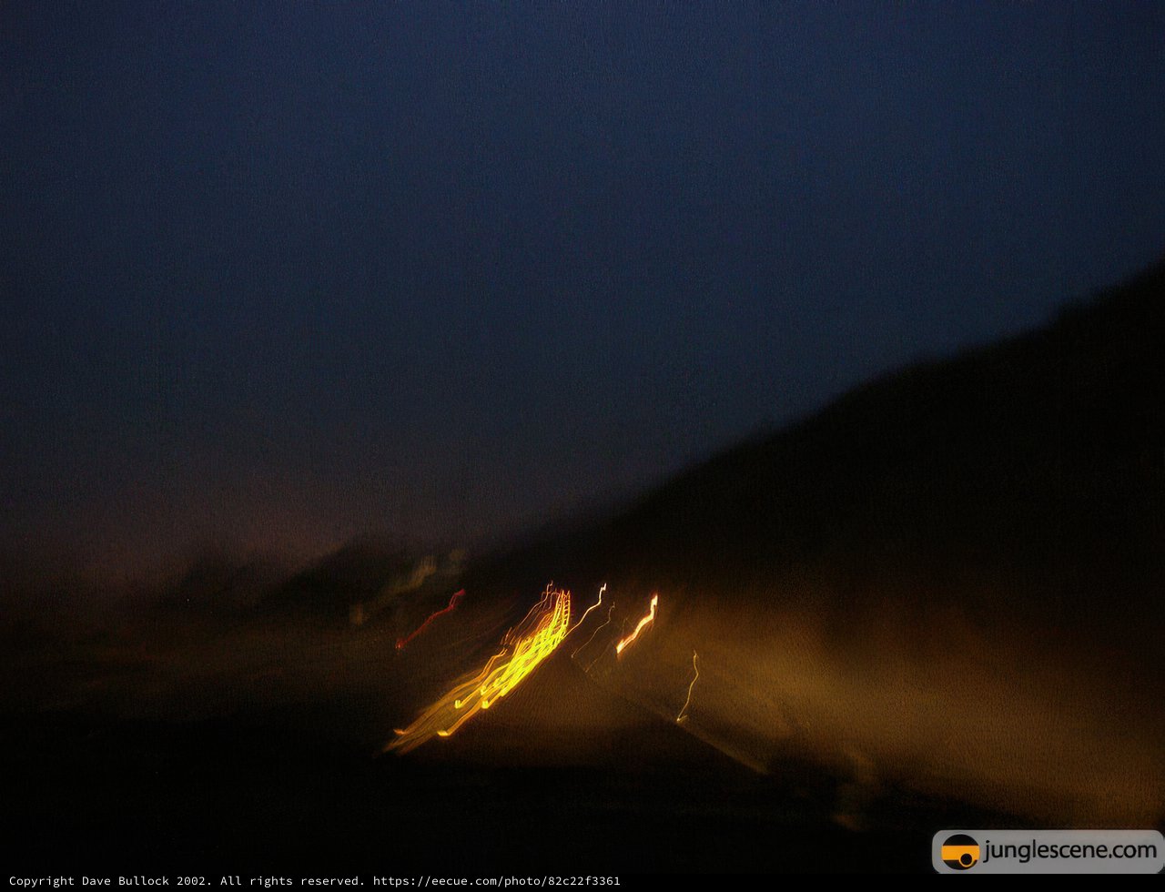Driving Through the Night Fog