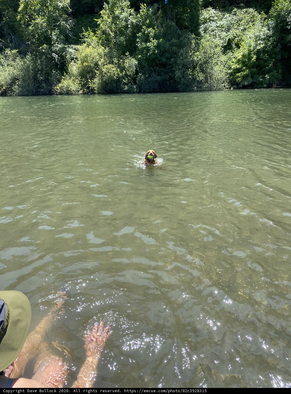 A Refreshing Dip in the Russian River