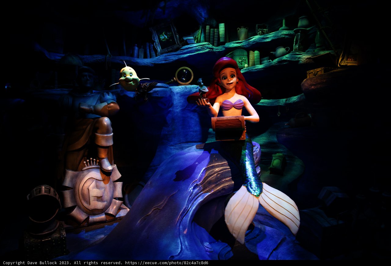 Magical Encounter with Ariel at Disneyland