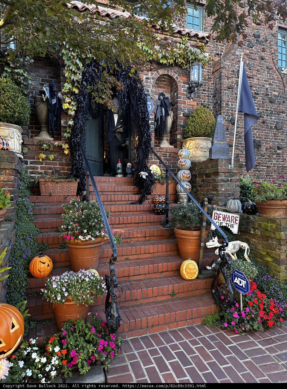 Halloween Fun at a Brick House in San Francisco