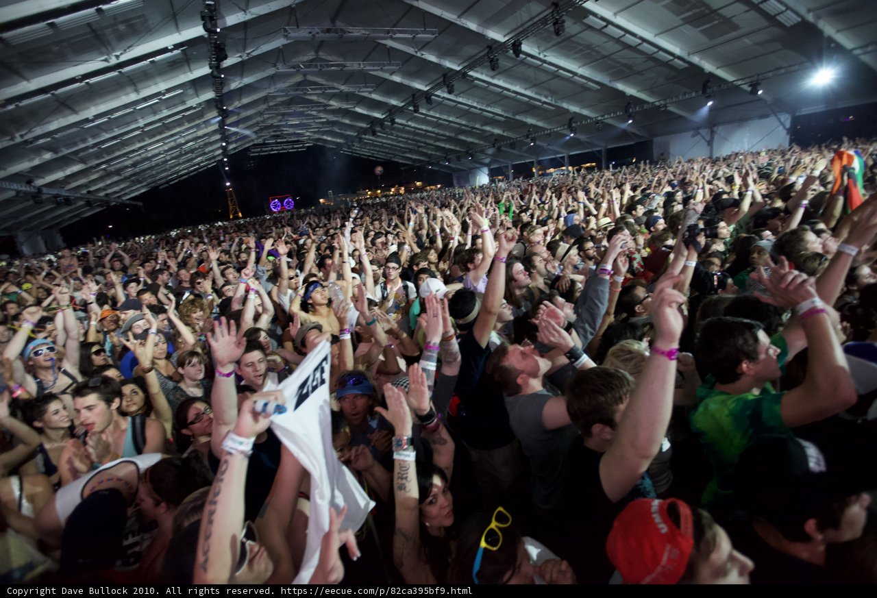 Hands Up in the Crowd at Coachella