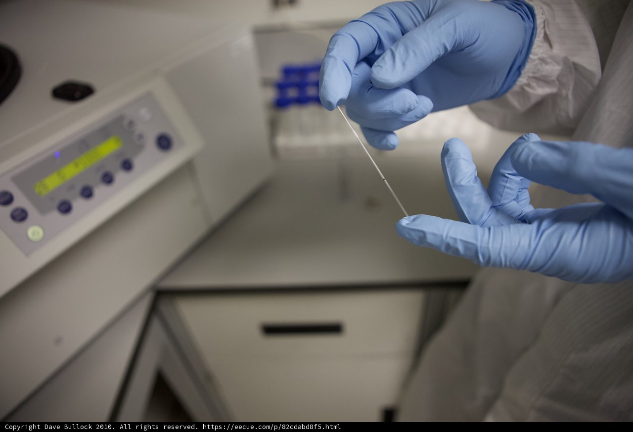 Research in the Laboratory