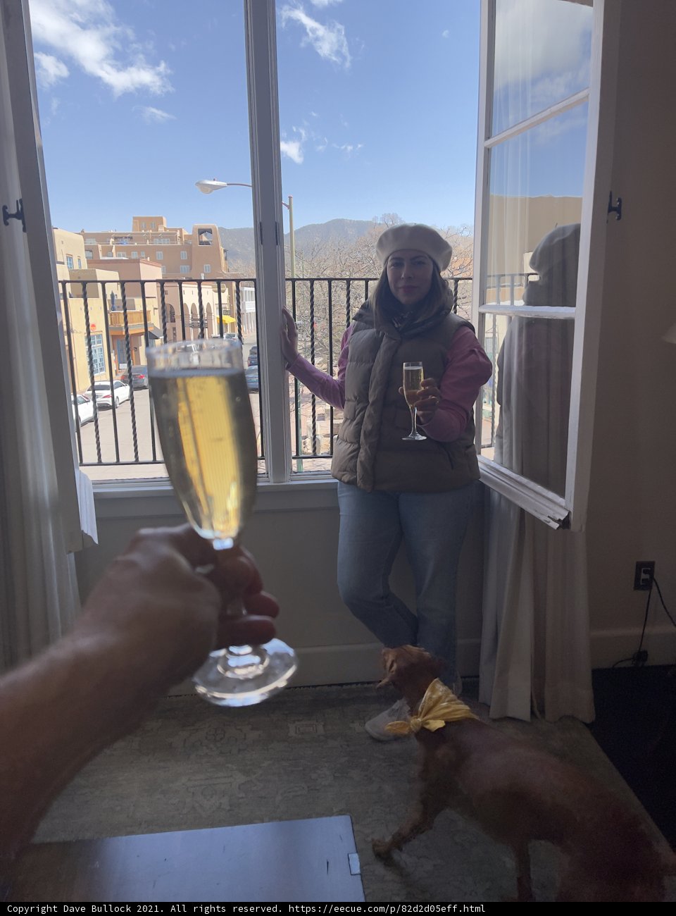 Window Gazing with a Glass of Wine and Man's Best Friend
