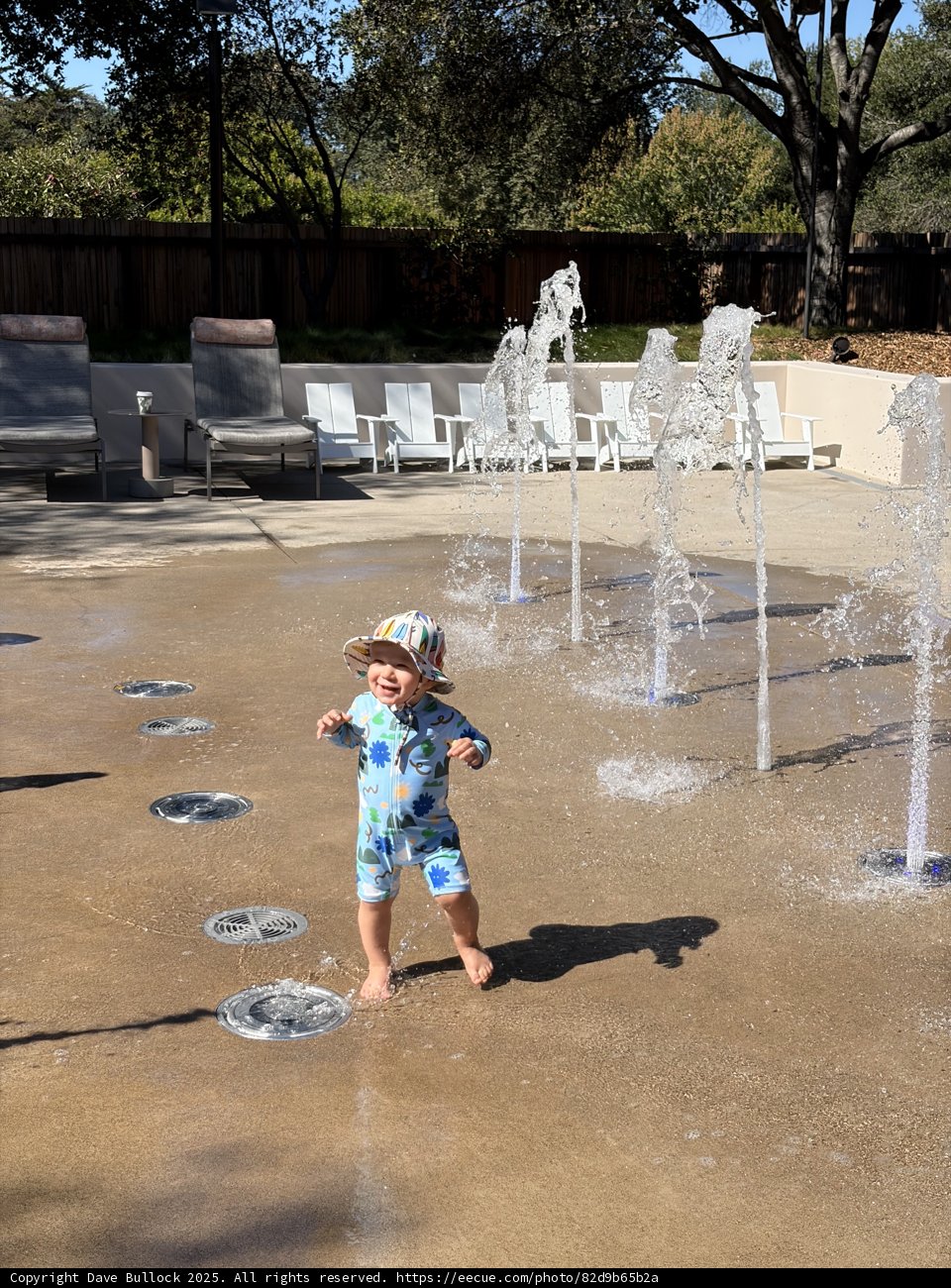 Splashes of Joy