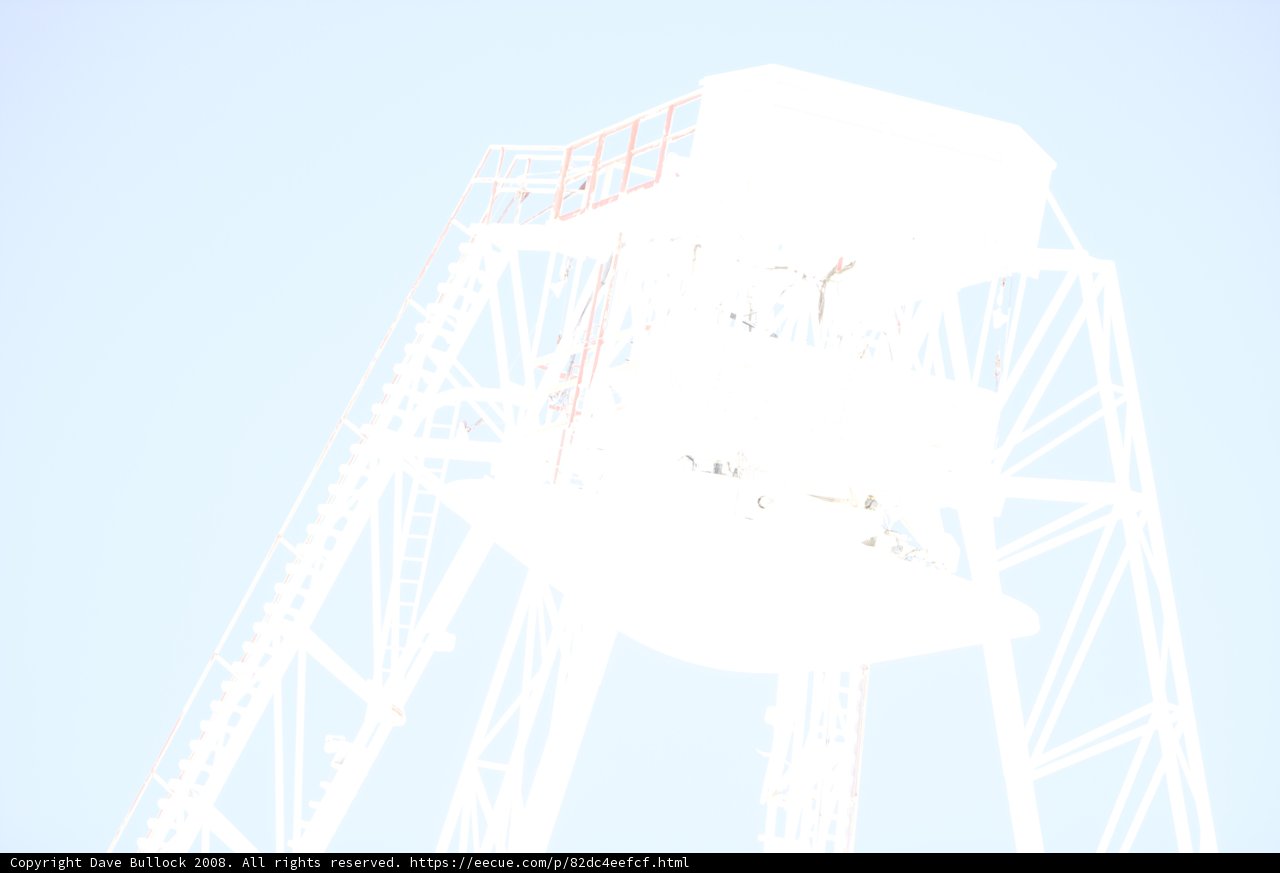 Towering Fun at the Amusement Park