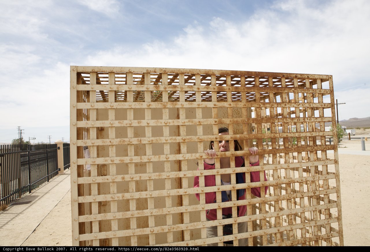 Woman Poses in Front of Wooden Gate