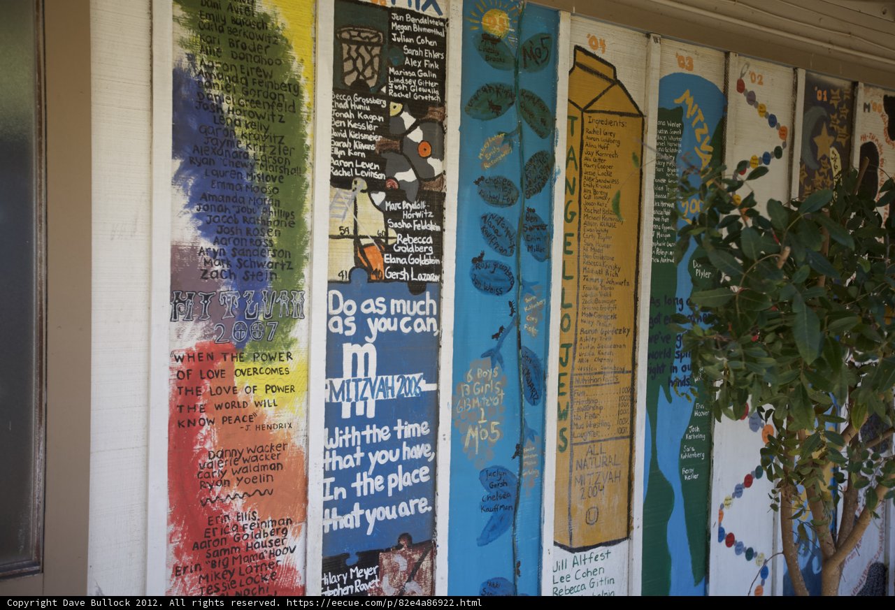A Colorful Wall of Posters