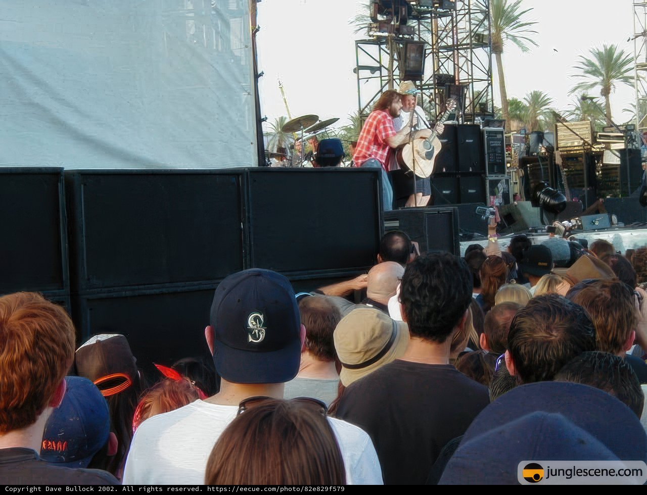 Coachella 2002 - Music with Palm Trees
