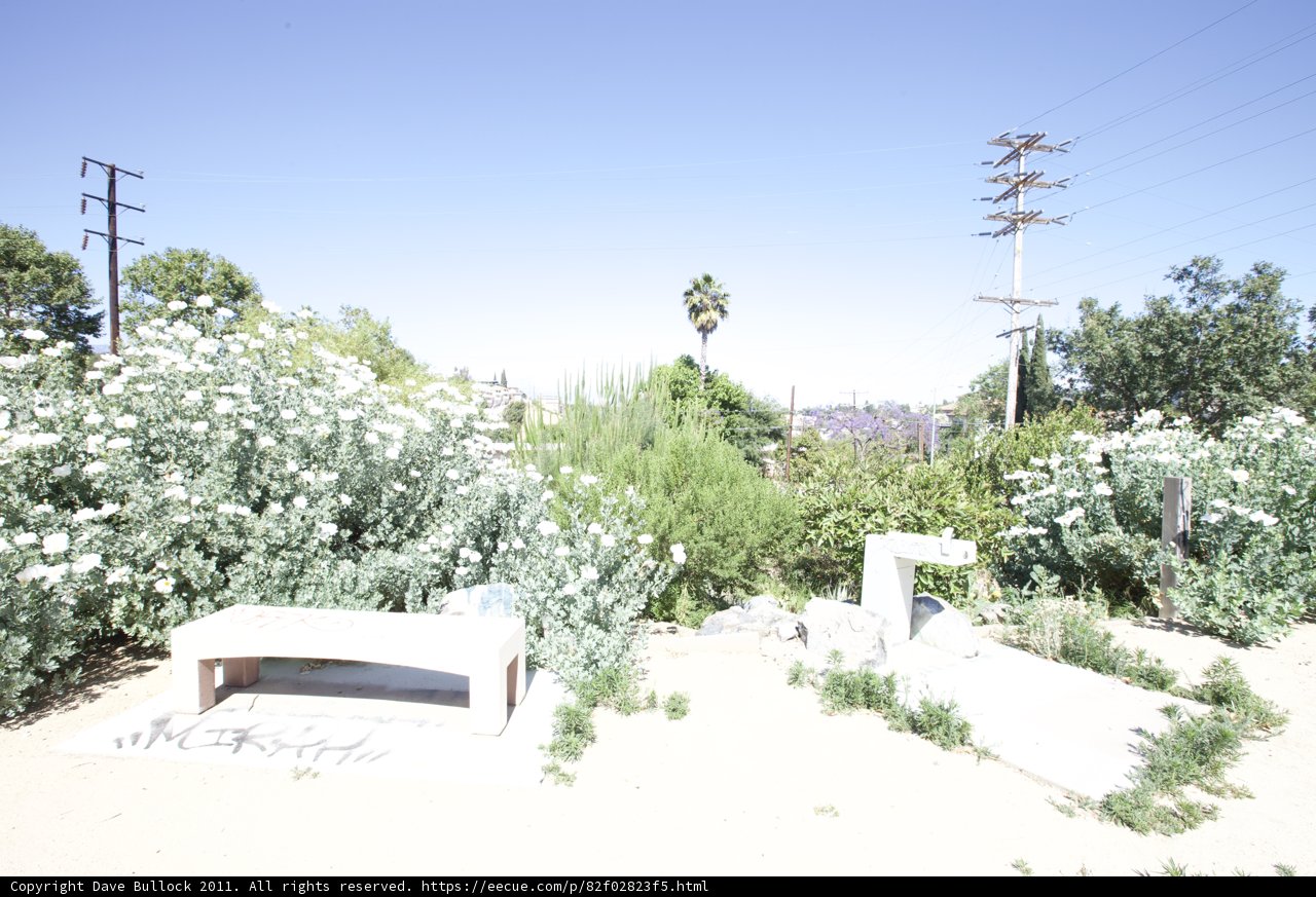 A Serene Spot in the Garden