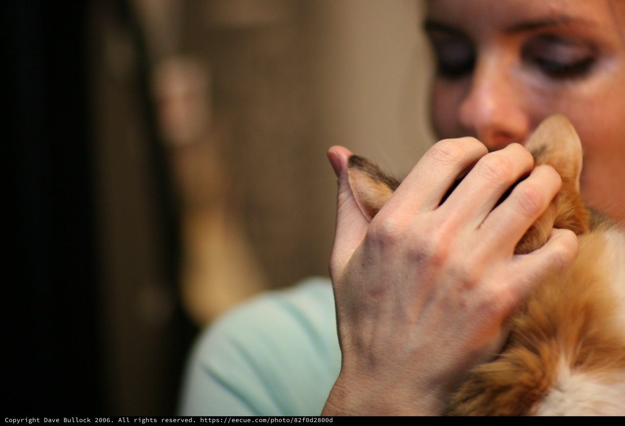 Tender Moment: Woman Nuzzling Fluffy Orange Cat