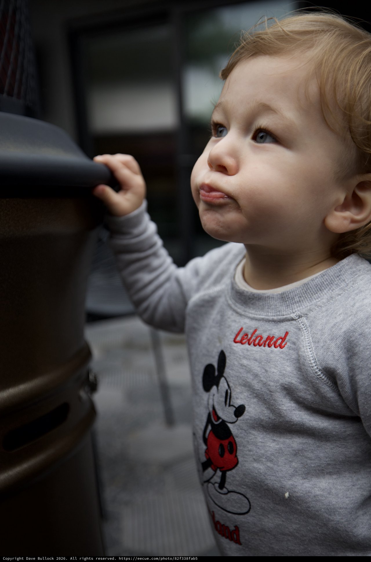 Curious Toddler in Mickey Mouse Sweatshirt Looking Up
