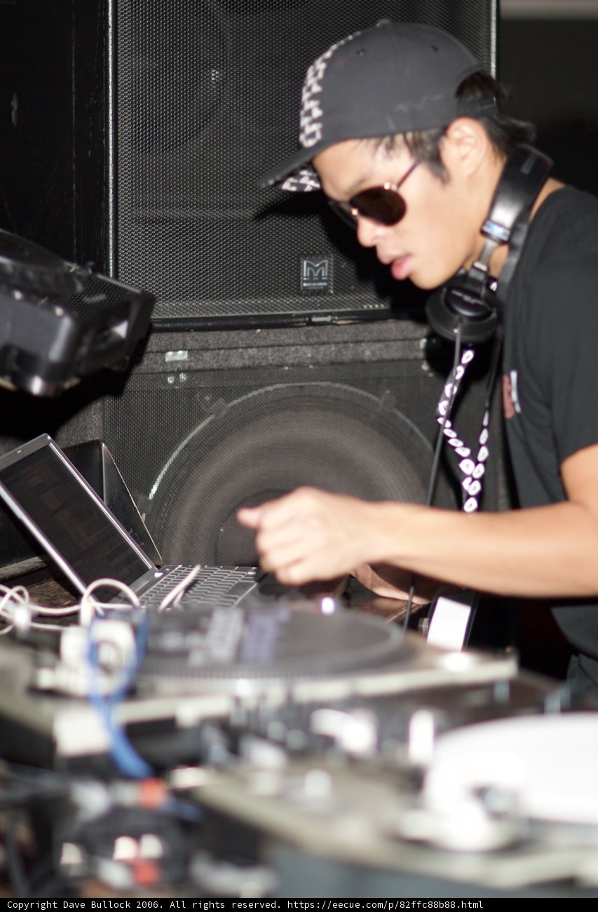 The Musical Entertainer