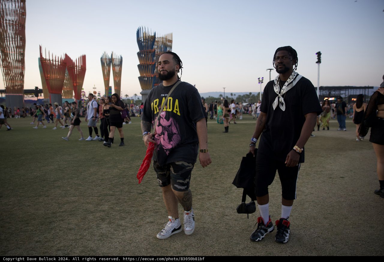 Evening Vibe at Coachella 2024