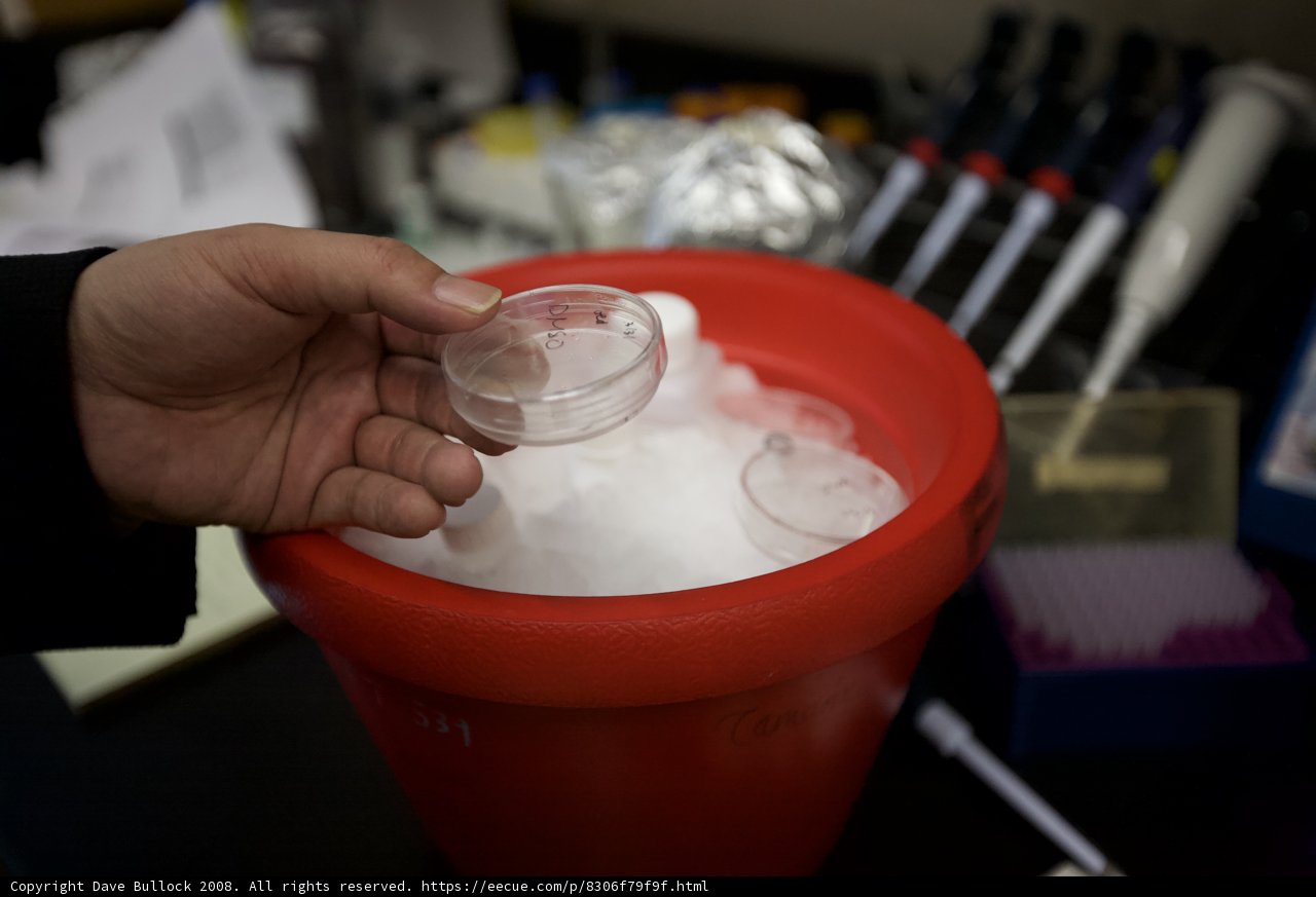 Small Container, Big Science