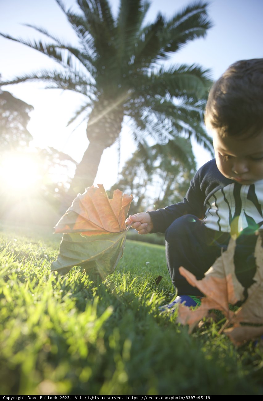 Nature's Classroom: A Day at the November Academy