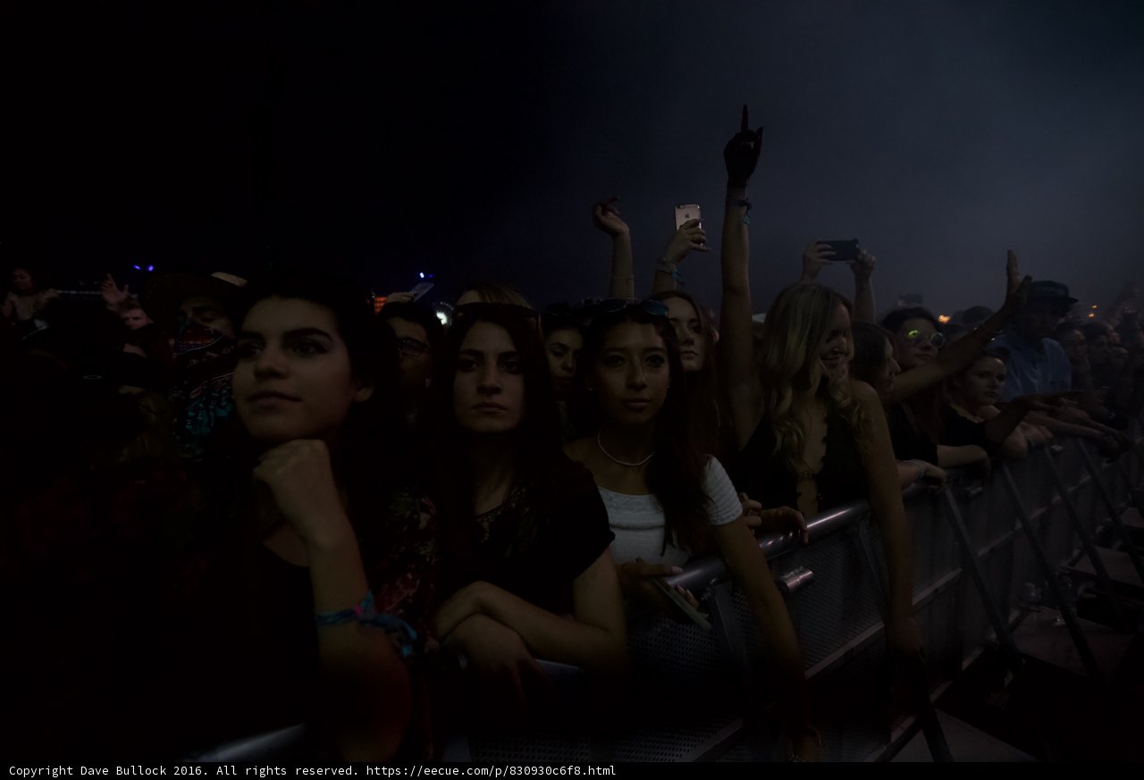 Party at Coachella