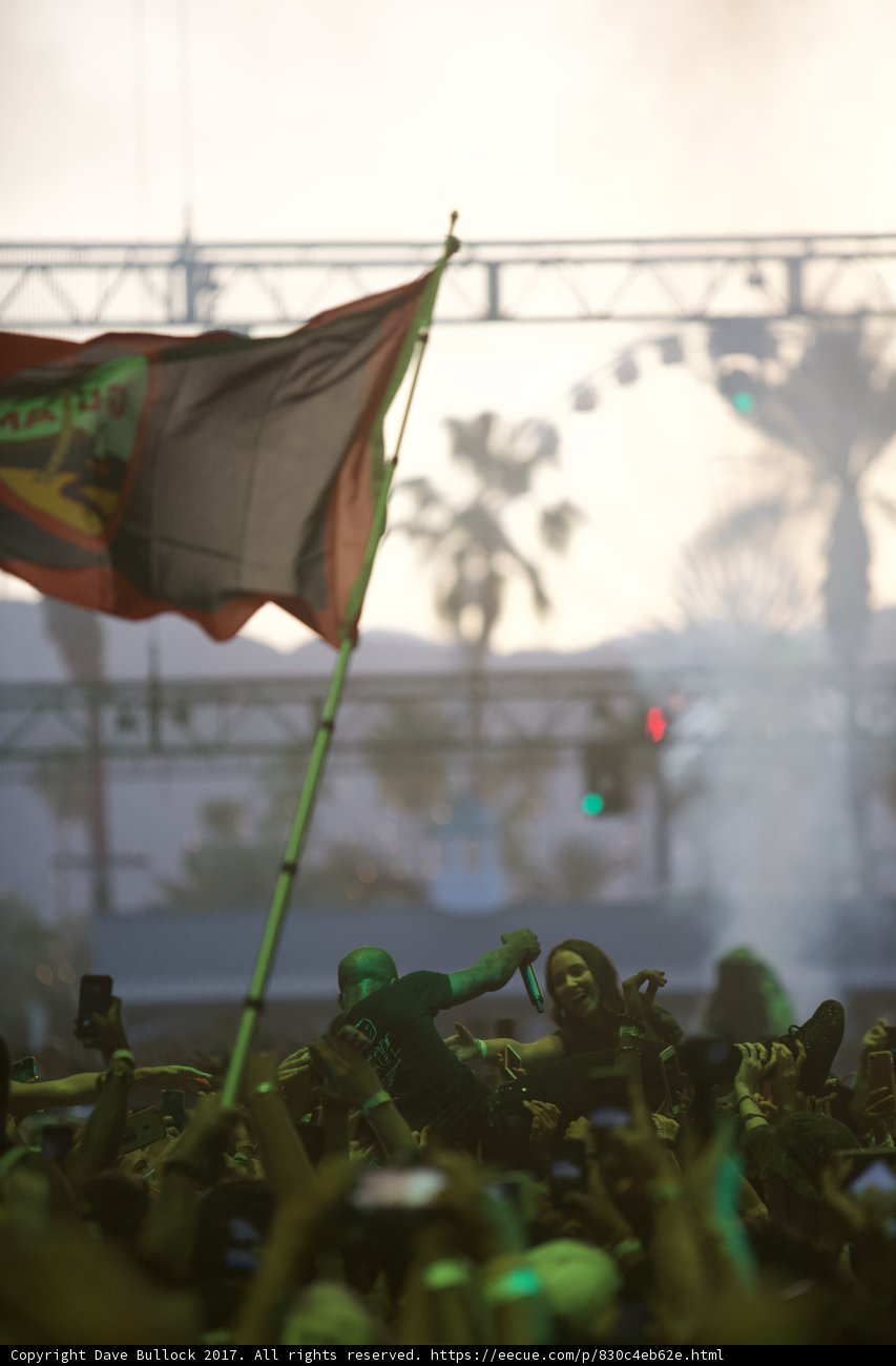 Reveling with Flags