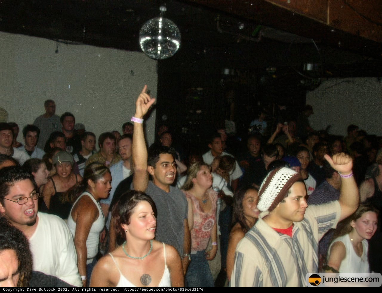 Disco Ball Delights