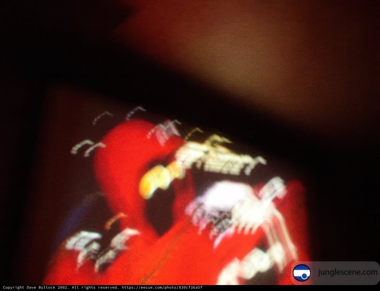Blurry Red and Black Screen
