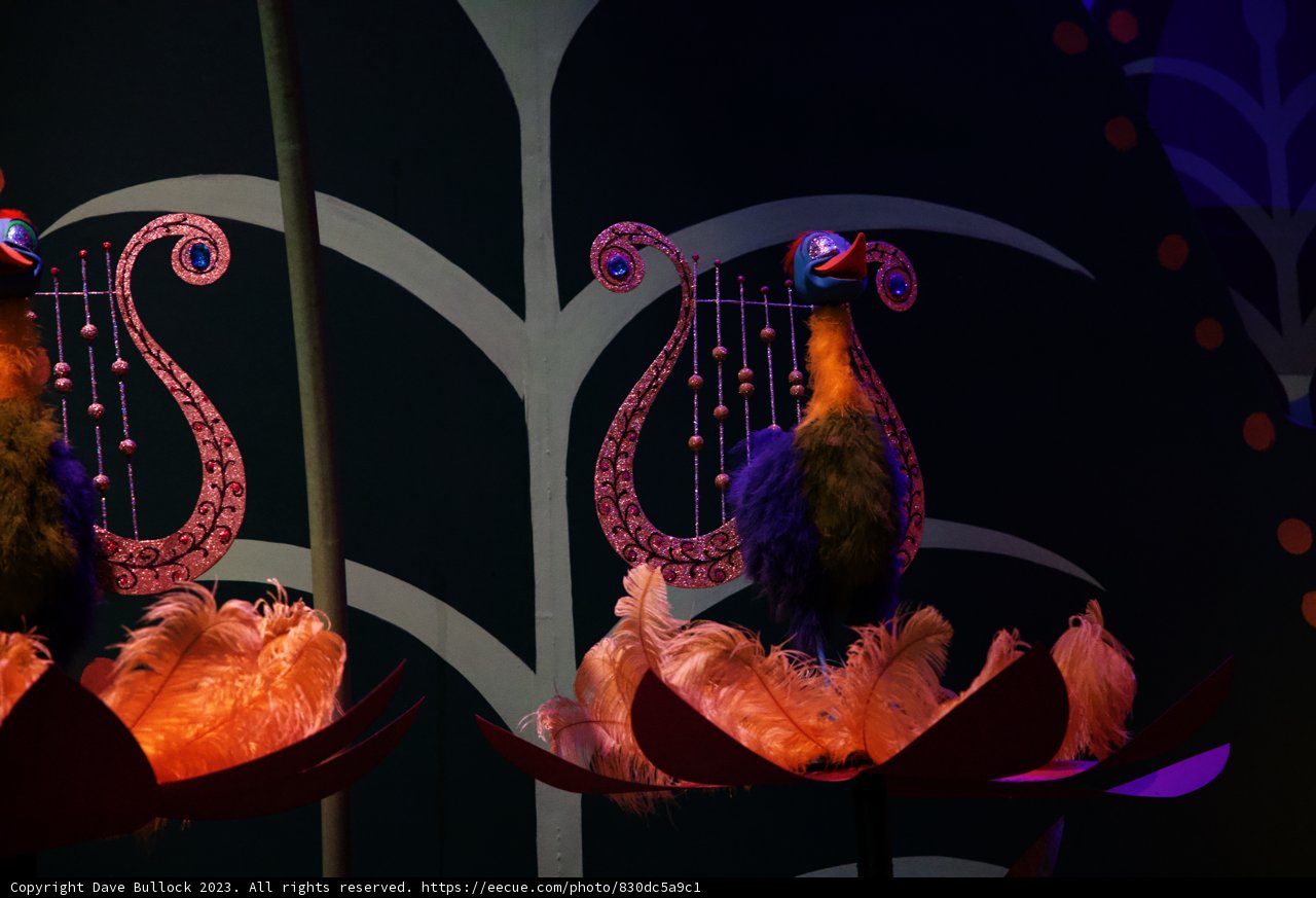 Serenade of Harmony