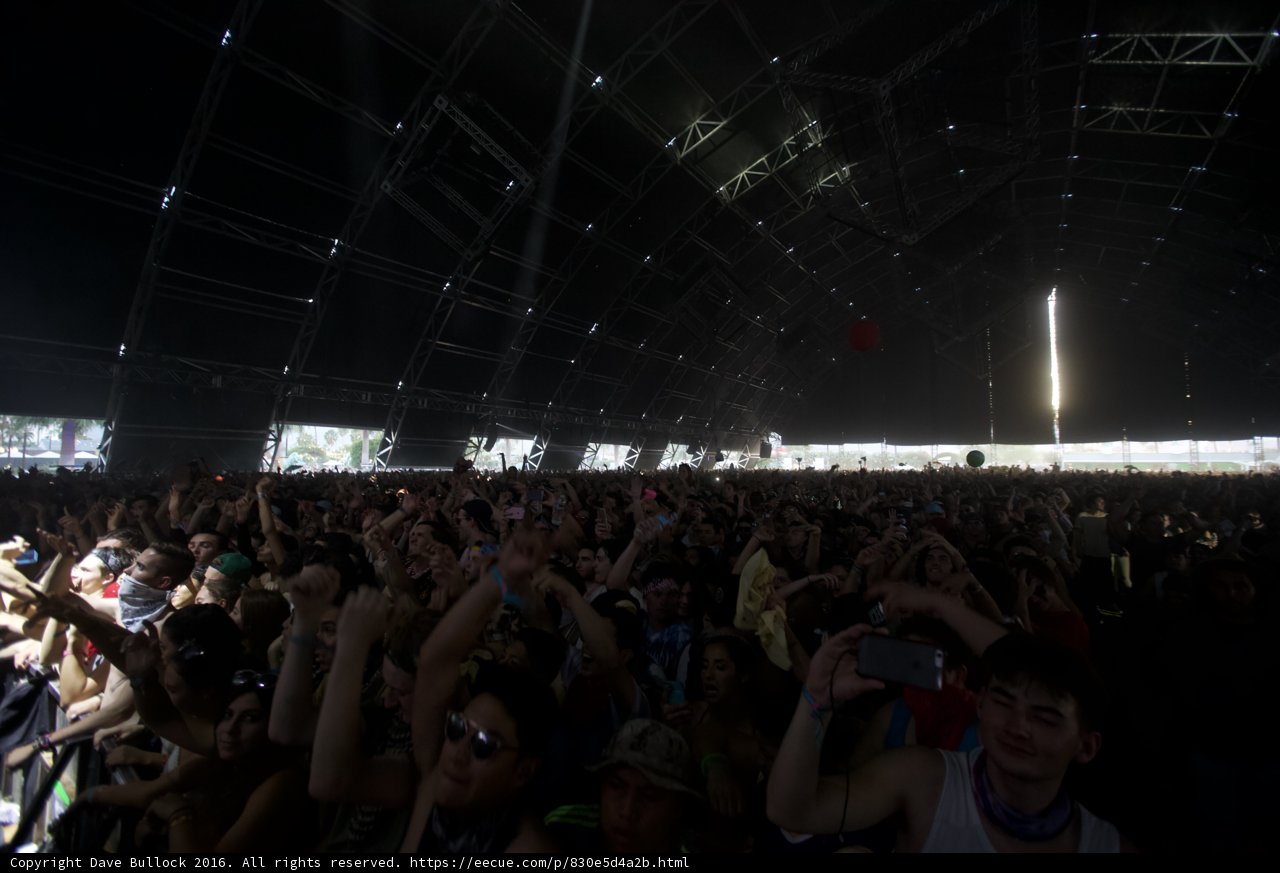 Coachella Concert Crowd