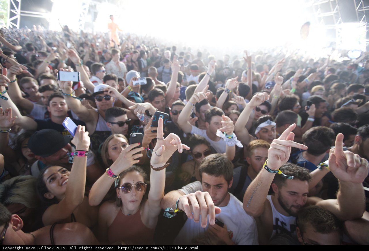 Rock Hands in Crowd
