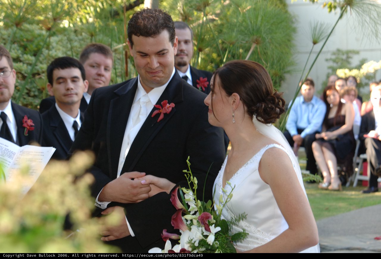 Emotional Ring Exchange at Outdoor Wedding Ceremony