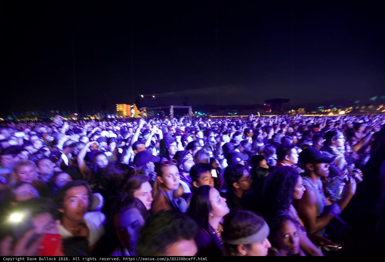 Nightlife at Coachella: A Crowd of Fun Seekers