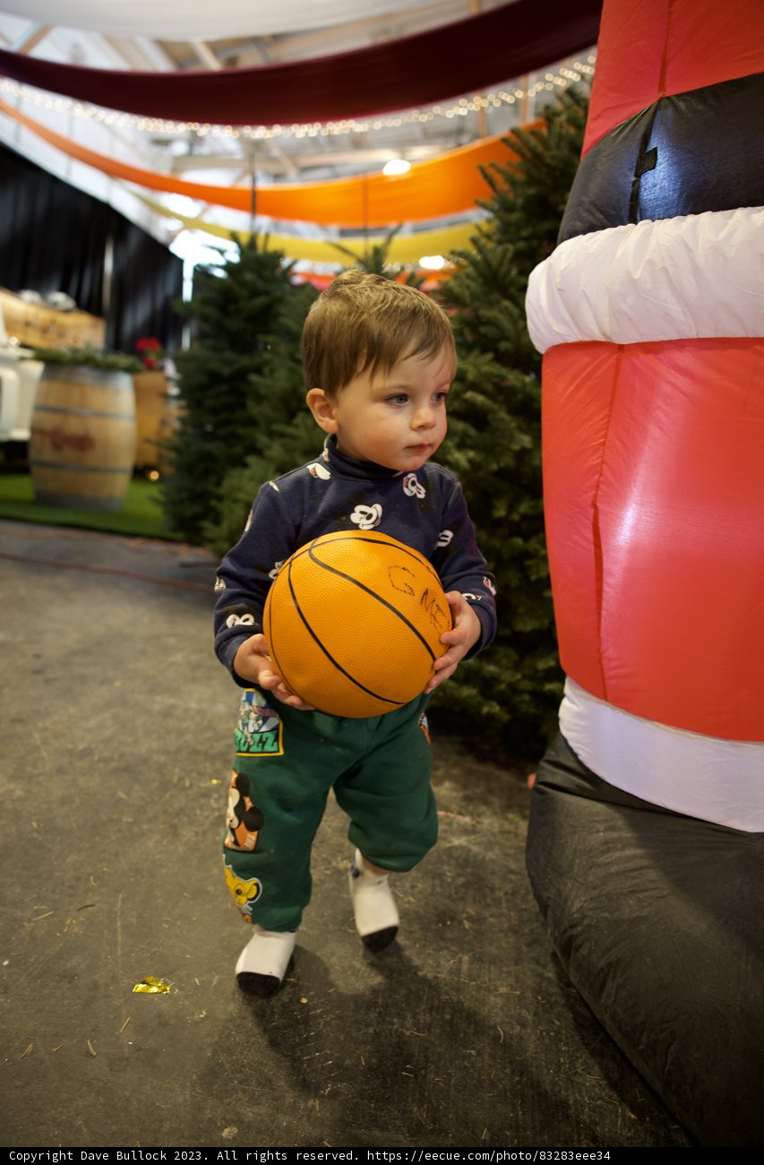 Embrace the Game: Young Wesley's Basketball Journey