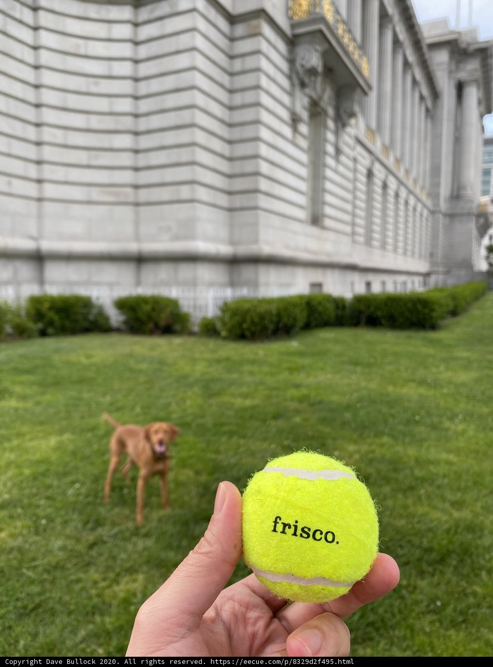 Tennis Fun in the City