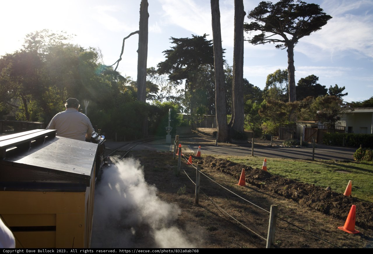 Timeless Journey: A Moment at the SF Zoo