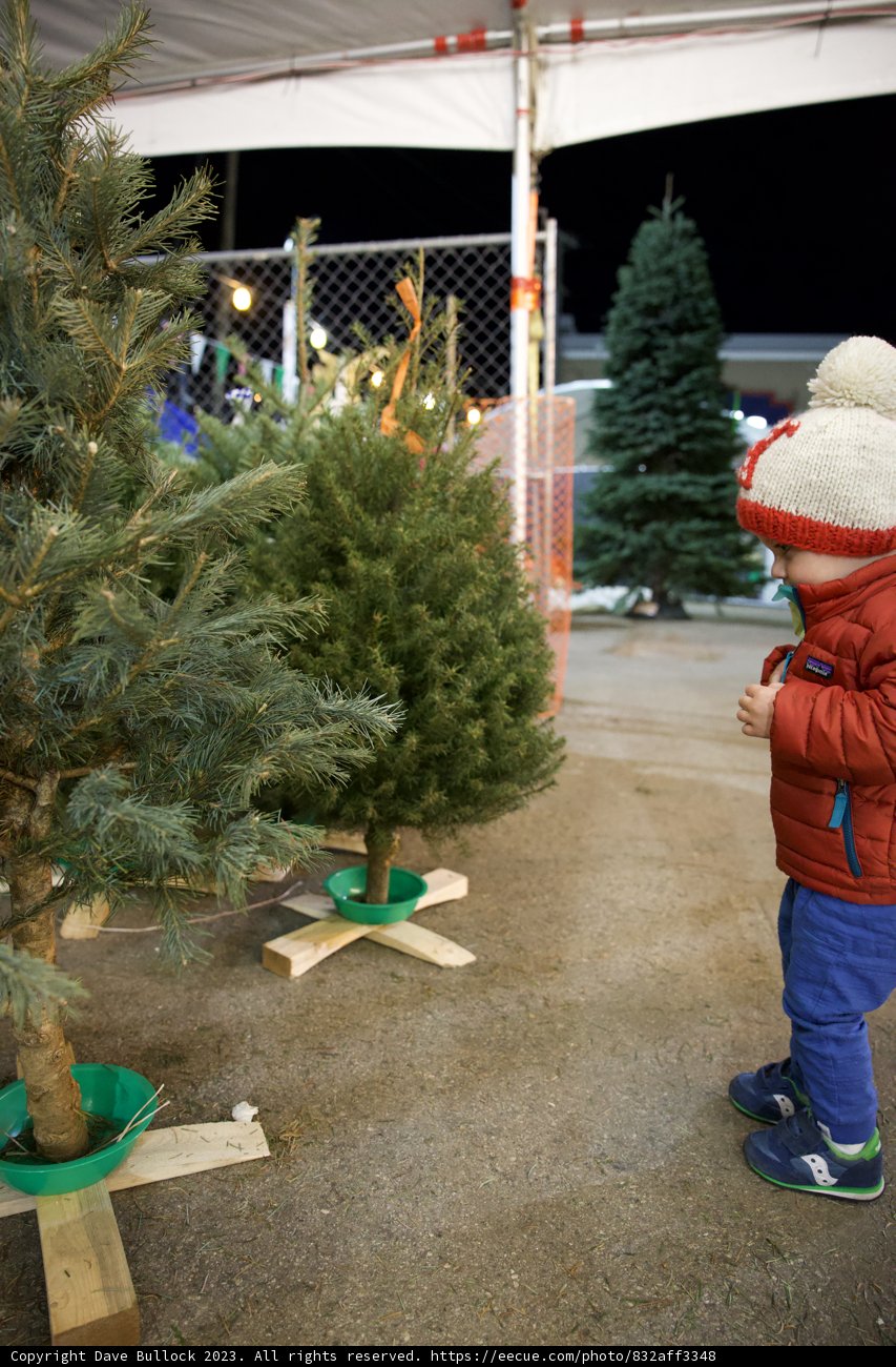 A Joyful Christmas Moment with Wesley