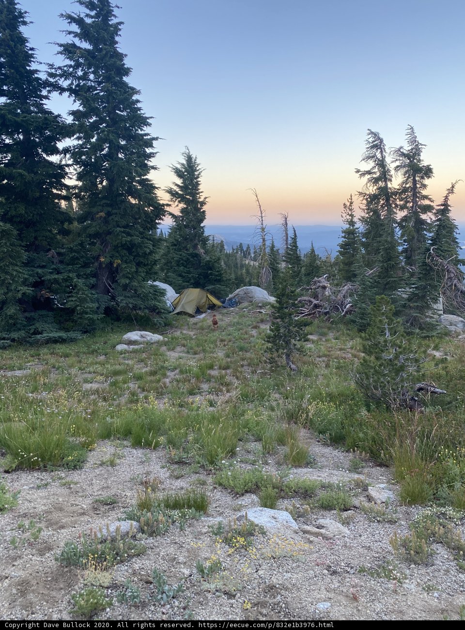 Hillside Tent in Desolation Wilderness