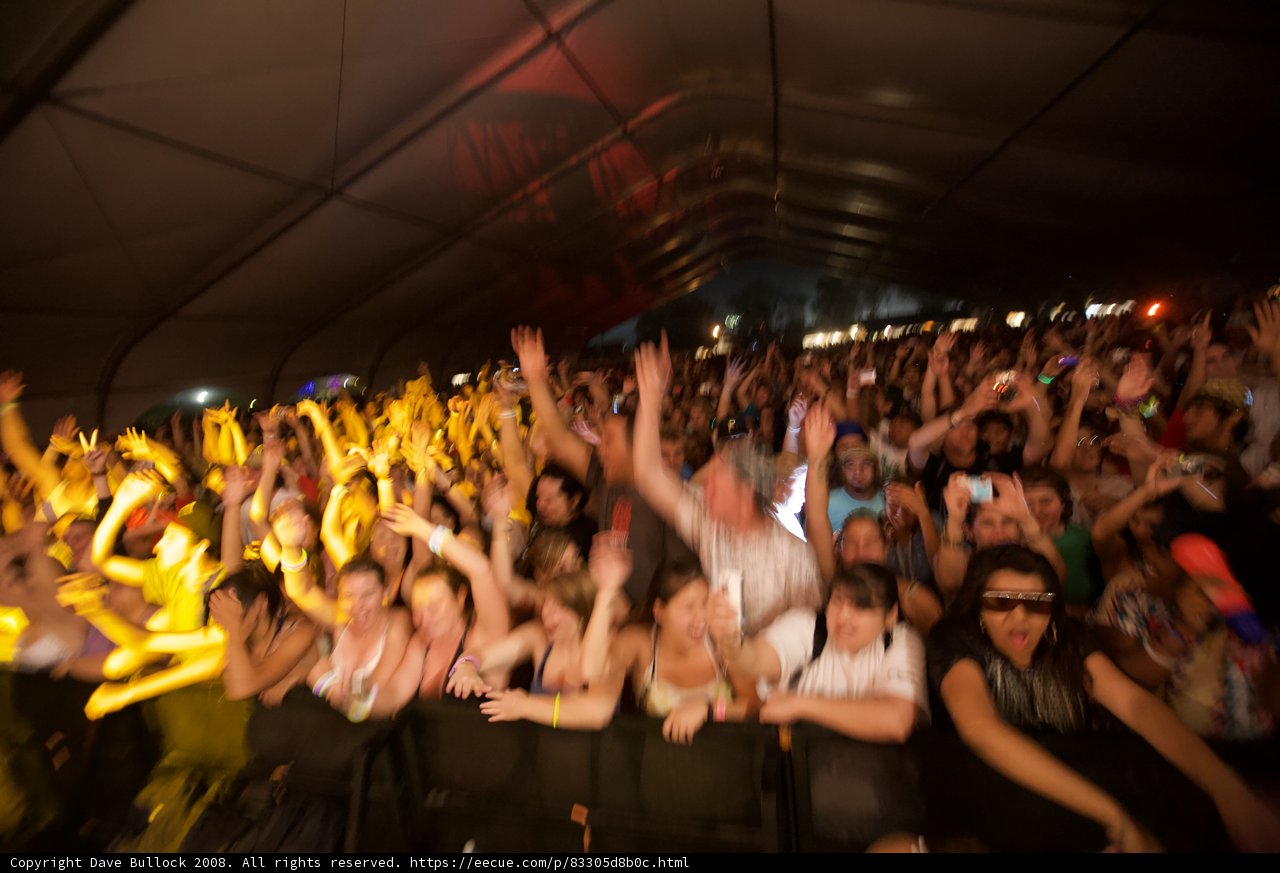Hands Up in the Crowd