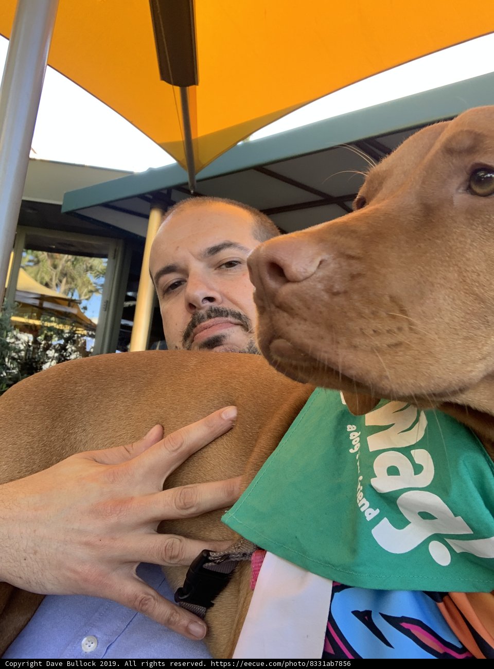 Man and his trusty furry companion