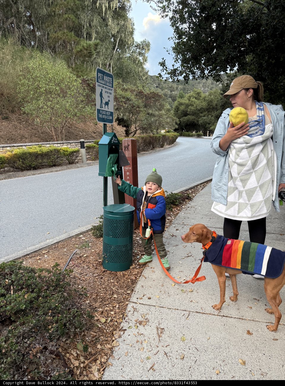 Stroll Through Carmel
