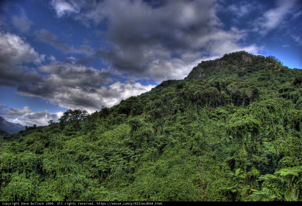 Majestic Mountain Covered in Verdant Vegetation and Ethereal Clouds