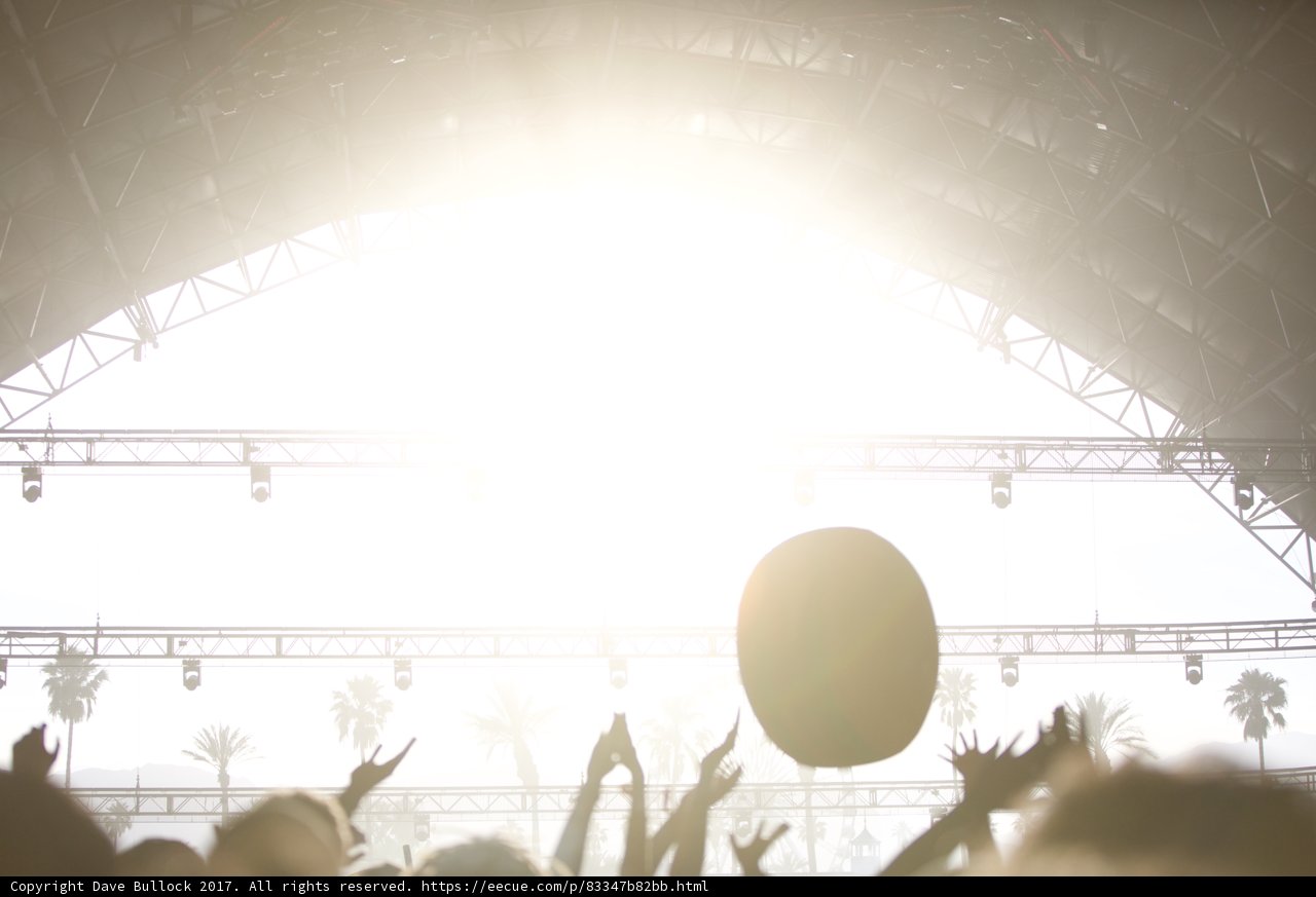 Hands Up in the Crowd