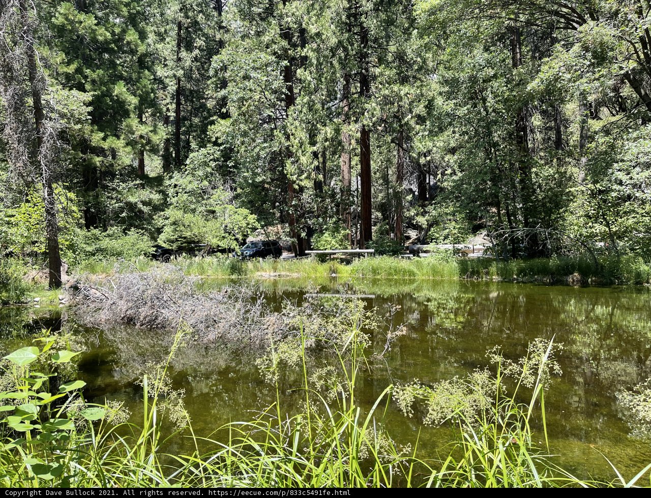 Serene Waters of Yosemite