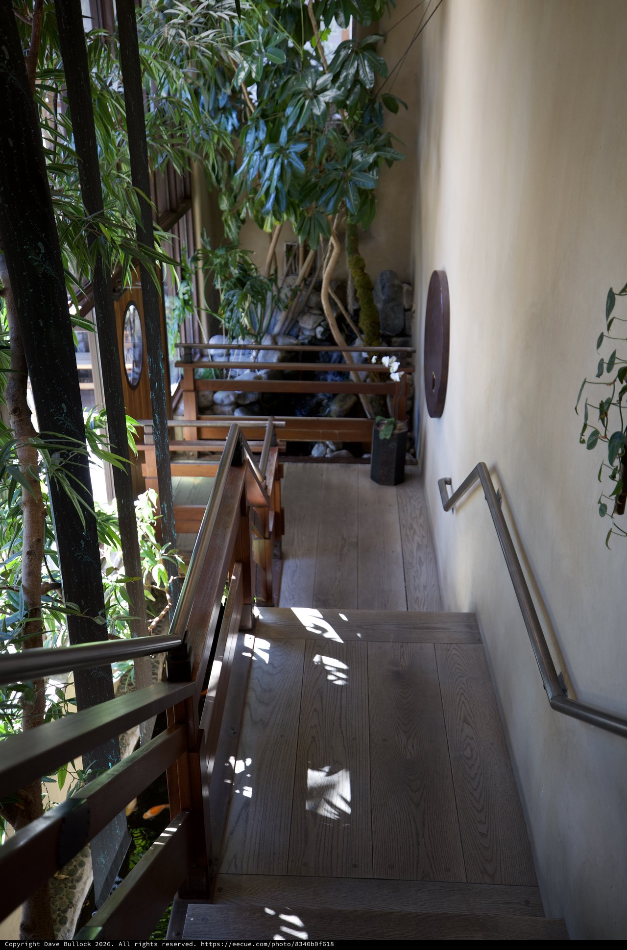 Serene Japanese-Inspired Indoor Garden Staircase with Natural Light