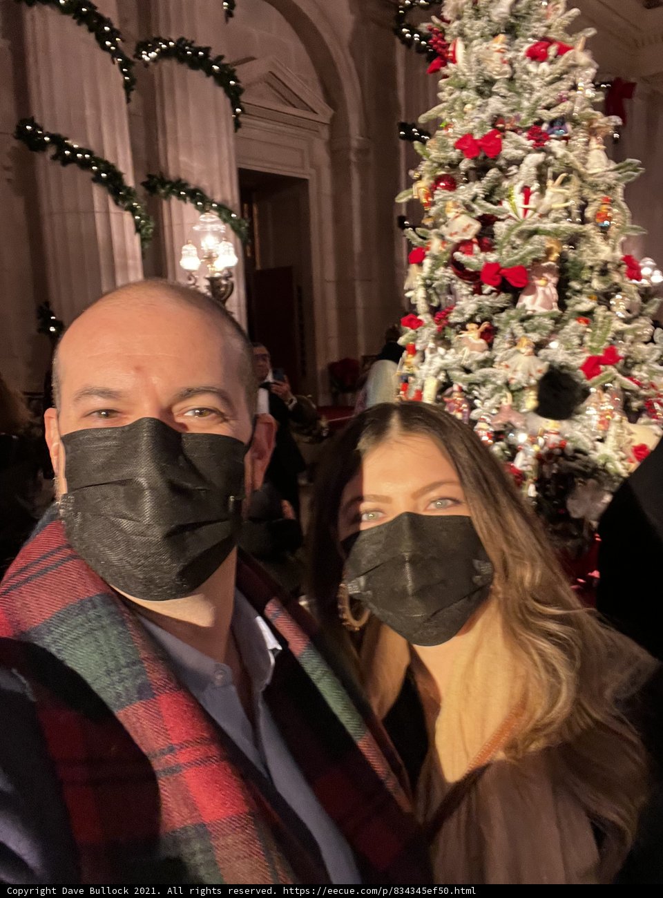Masked Christmas Celebration