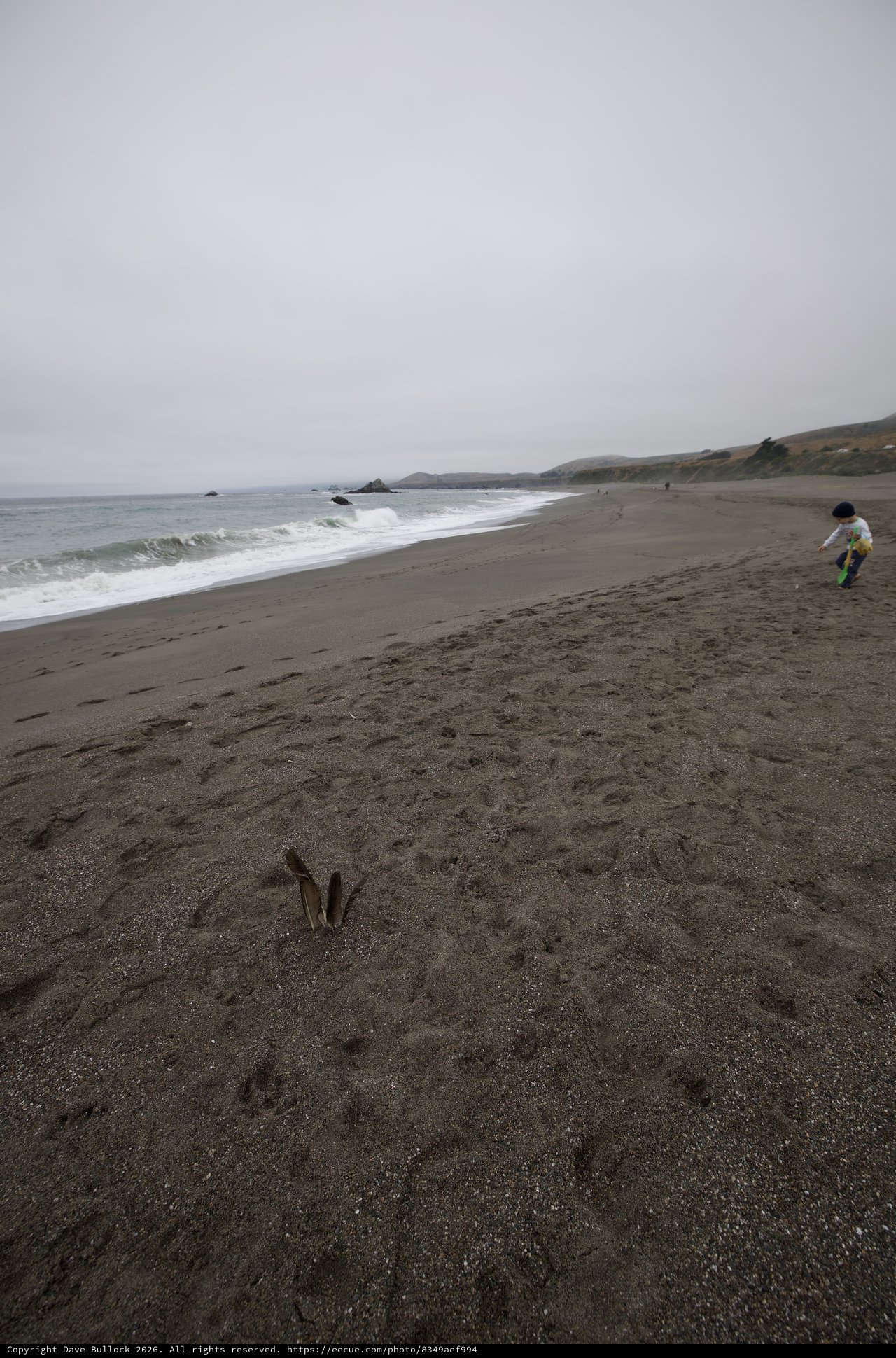 Child Explores Misty Northern California Coastline