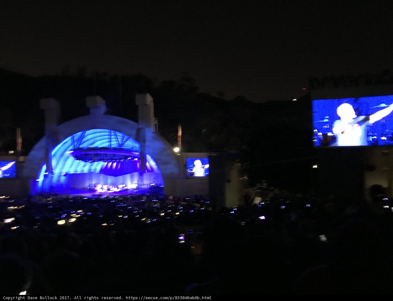Nighttime Concert under the Dome