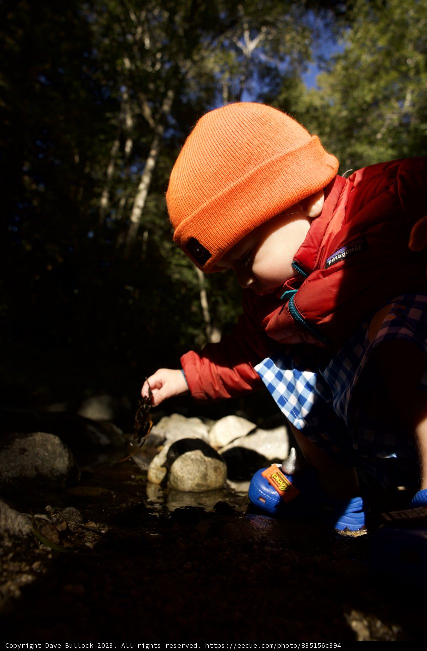 Big Sur Adventure - Little Explorer