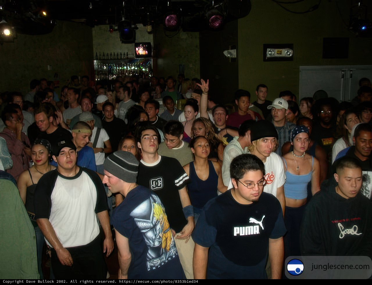 Nightclub Crowd