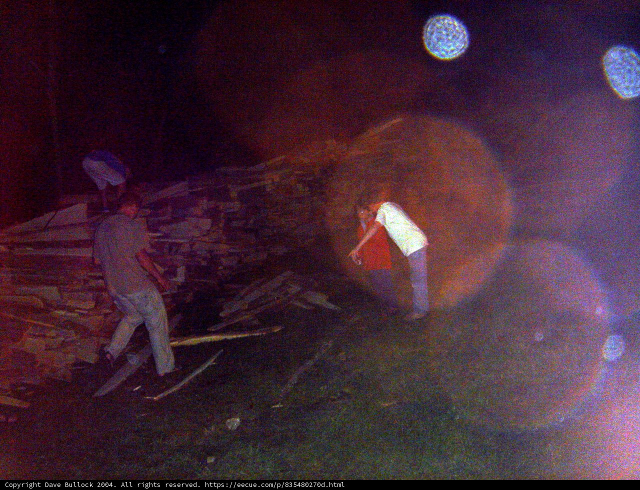 Wood Gathering Party