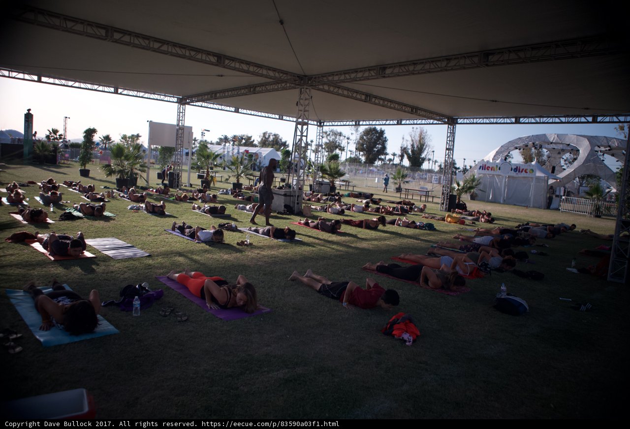Yoga in the Park
