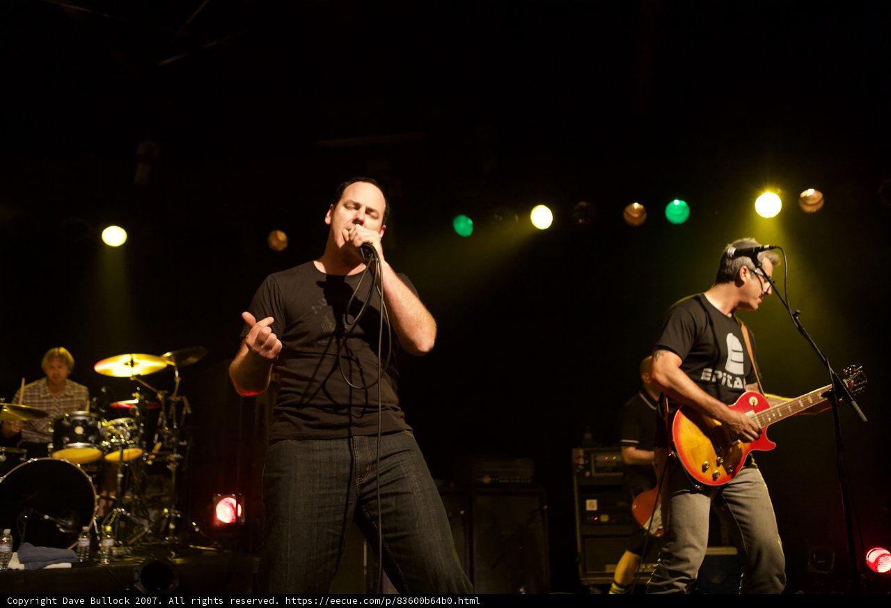 Rocking the House at Bad Religion Concert