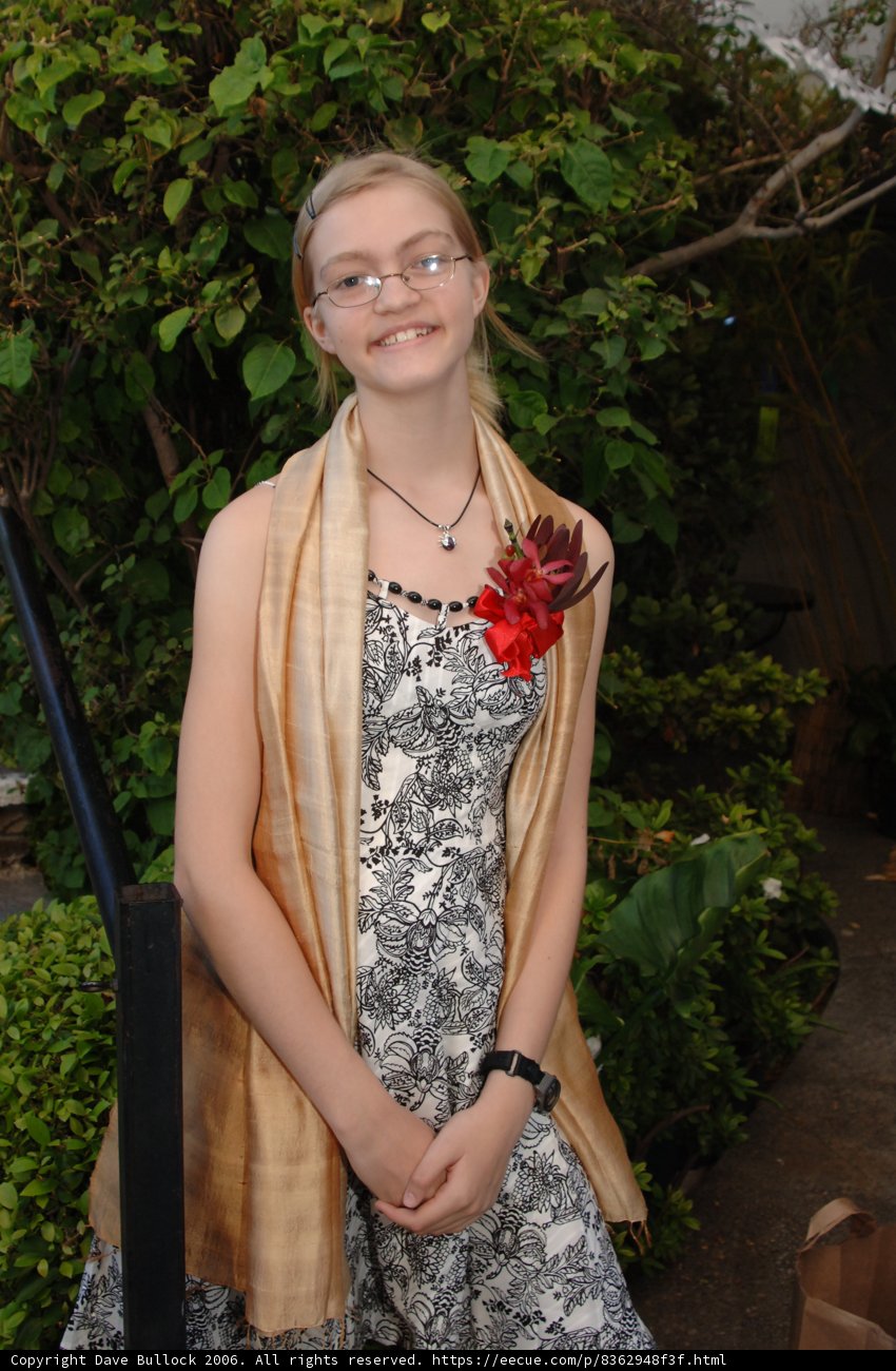 The Glamorous Lady in Her Rose Evening Dress